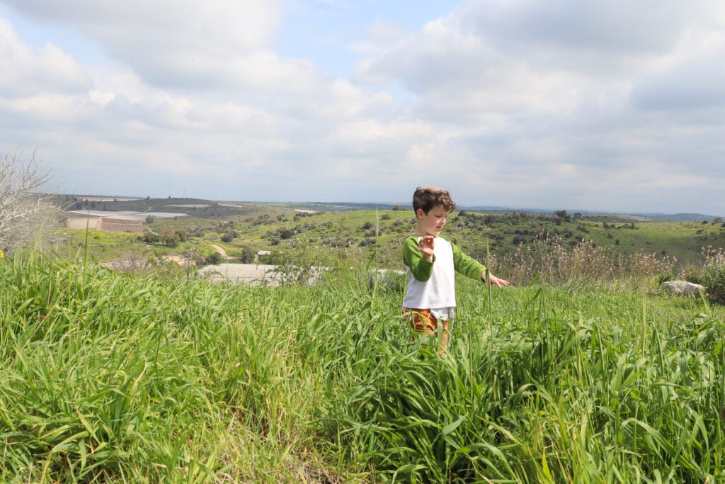 Tel Lachish hike