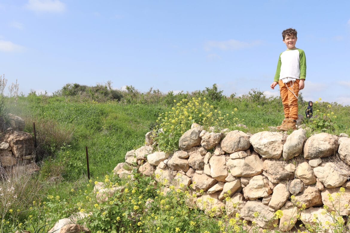 Tel Lachish: Beauty at an Ancient City