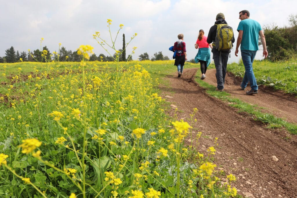 Ramat HaNadiv Ein Tzur hike