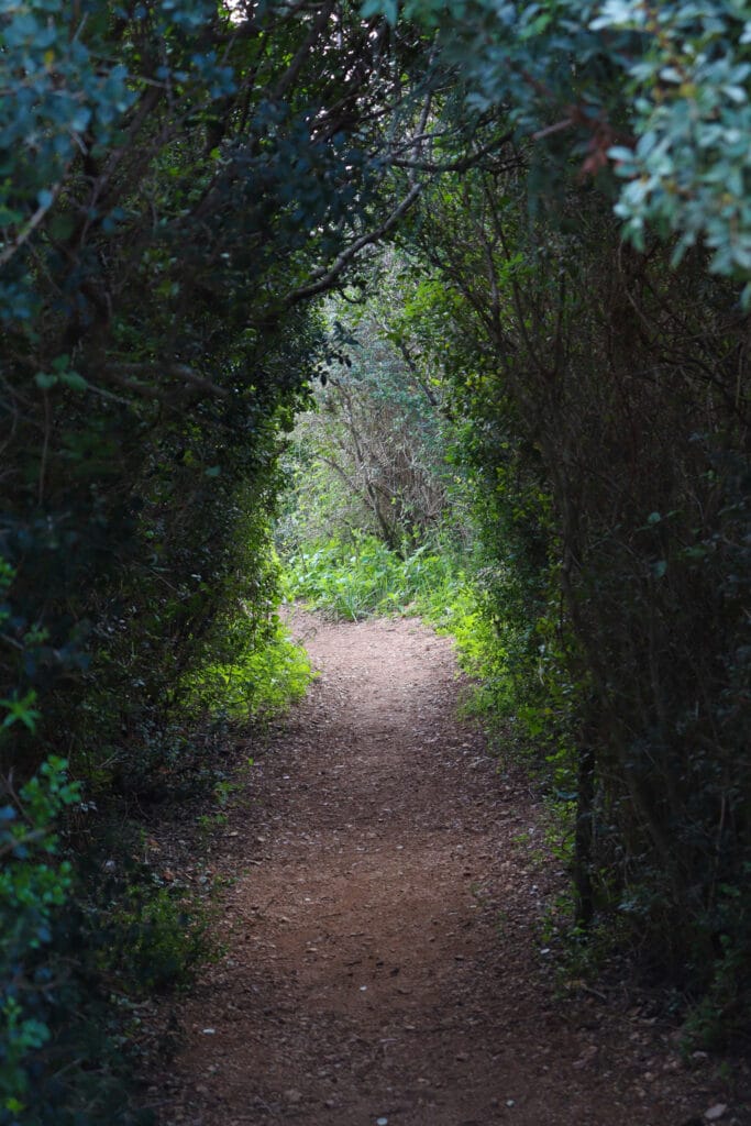 Ramat HaNadiv Ein Tzur hike