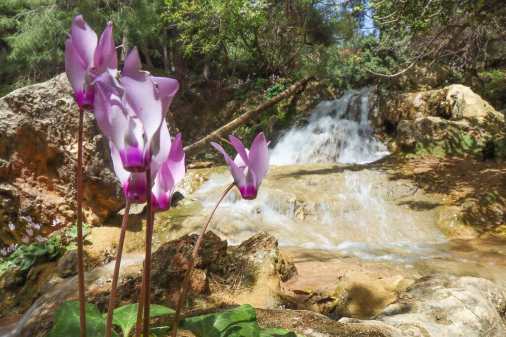 Farood Falls hike