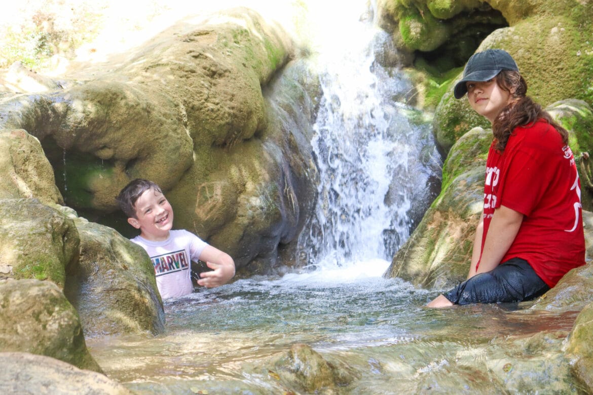 Farood Falls: Catch Them If You Can