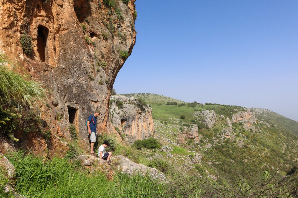 Spring Magic at Nahal Aviv and Nahal Dishon