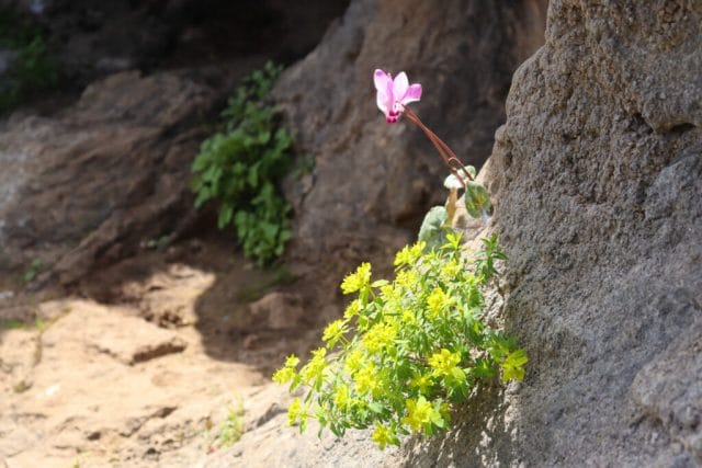 Lifta hike