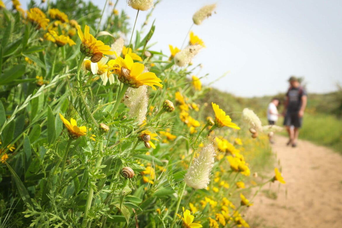 Nahal Poleg and Poleg Beach Trail