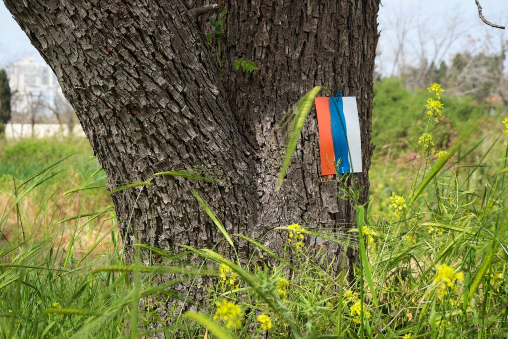 Nahal Poleg Hike