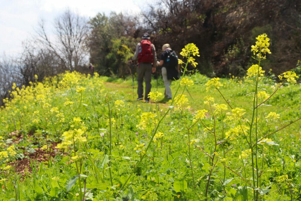 Israel Trail hike