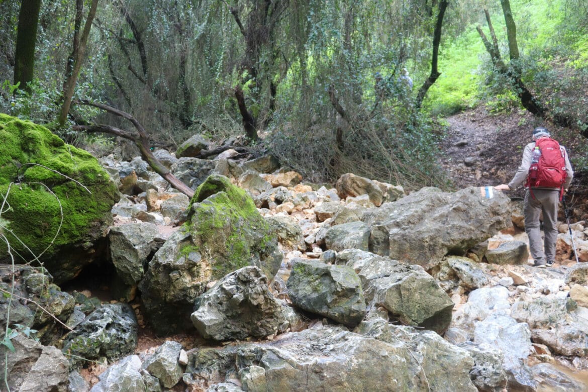 Israel Trail, Second Segment: Nekikei Yiftach to Keren Naftali