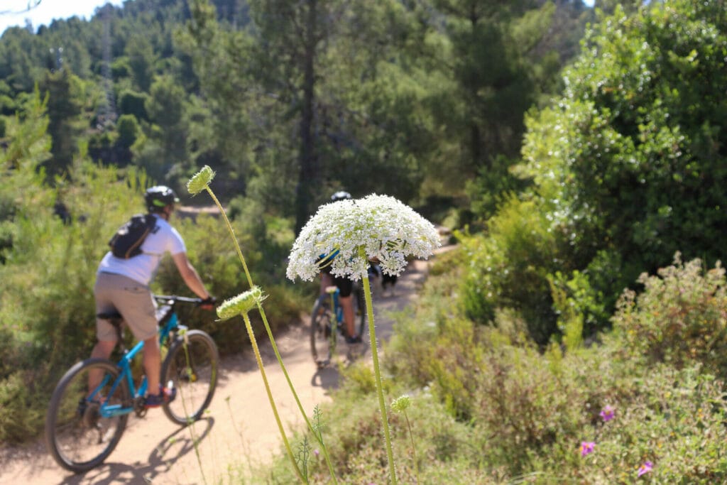 Shvil HaMa'ayanot Jerusalem
Springs Trail JErusalem