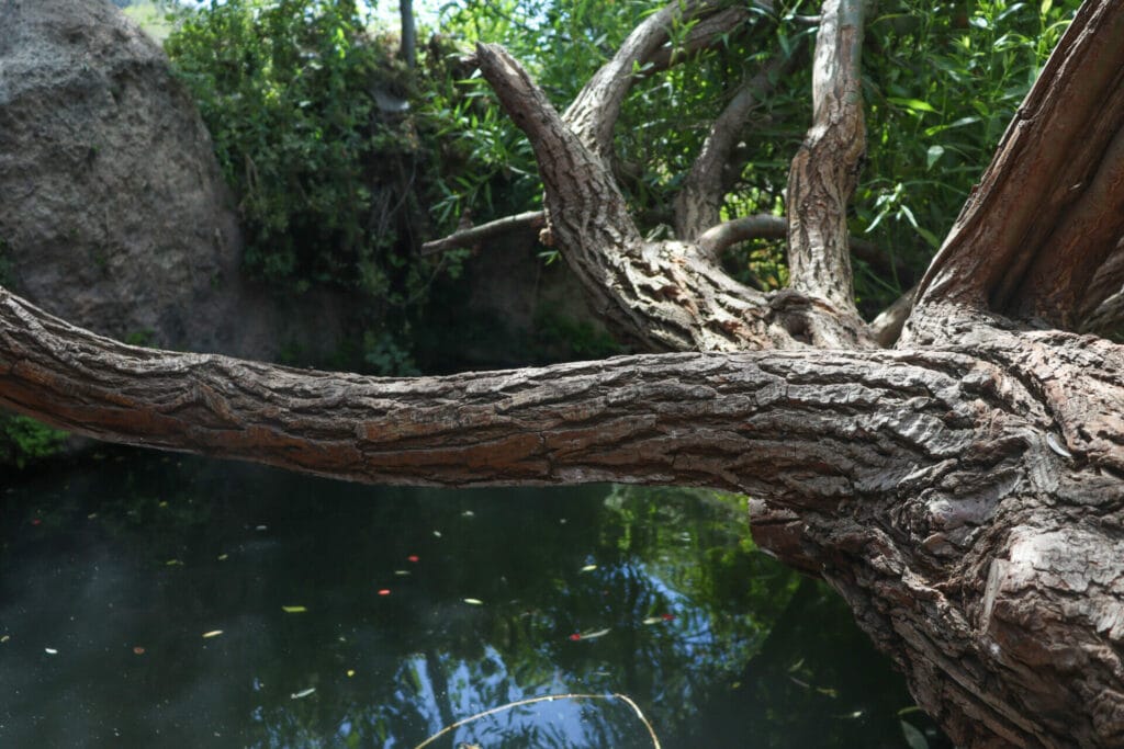 Shvil HaMa'ayanot Jerusalem
Springs Trail JErusalem