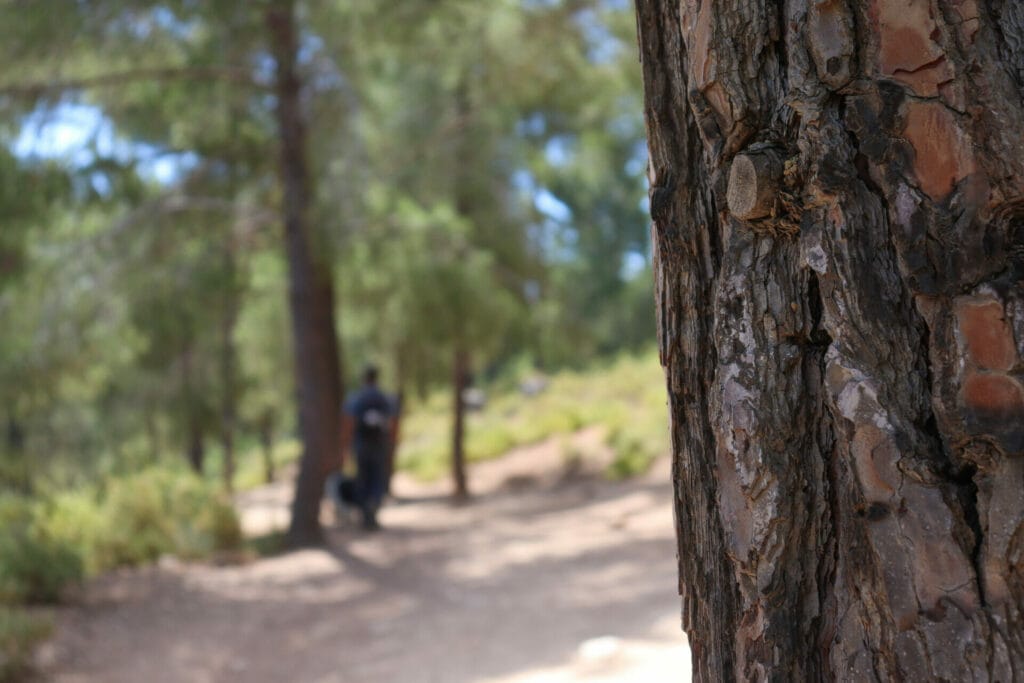 Shvil HaMa'ayanot Jerusalem
Springs Trail JErusalem