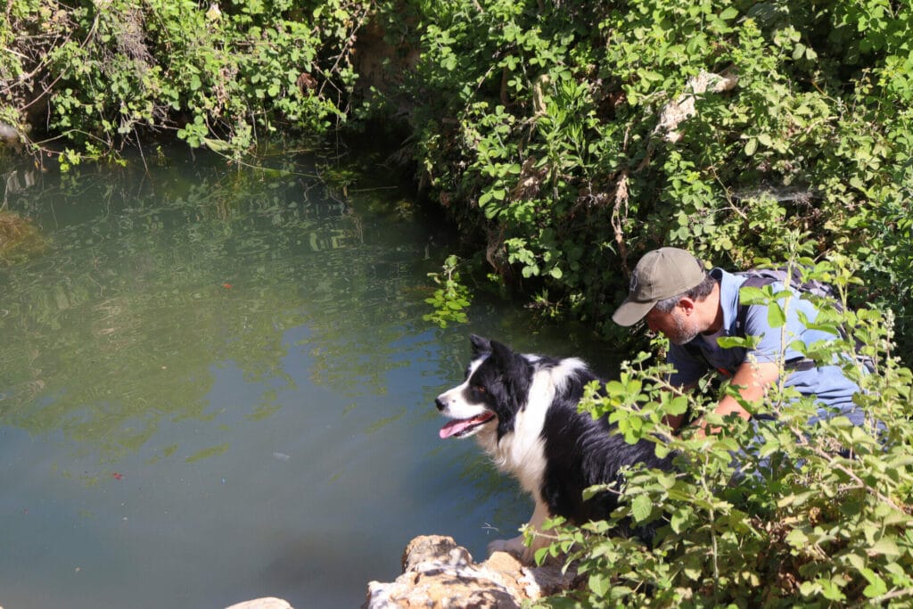 Shvil HaMa'ayanot Jerusalem
Springs Trail JErusalem