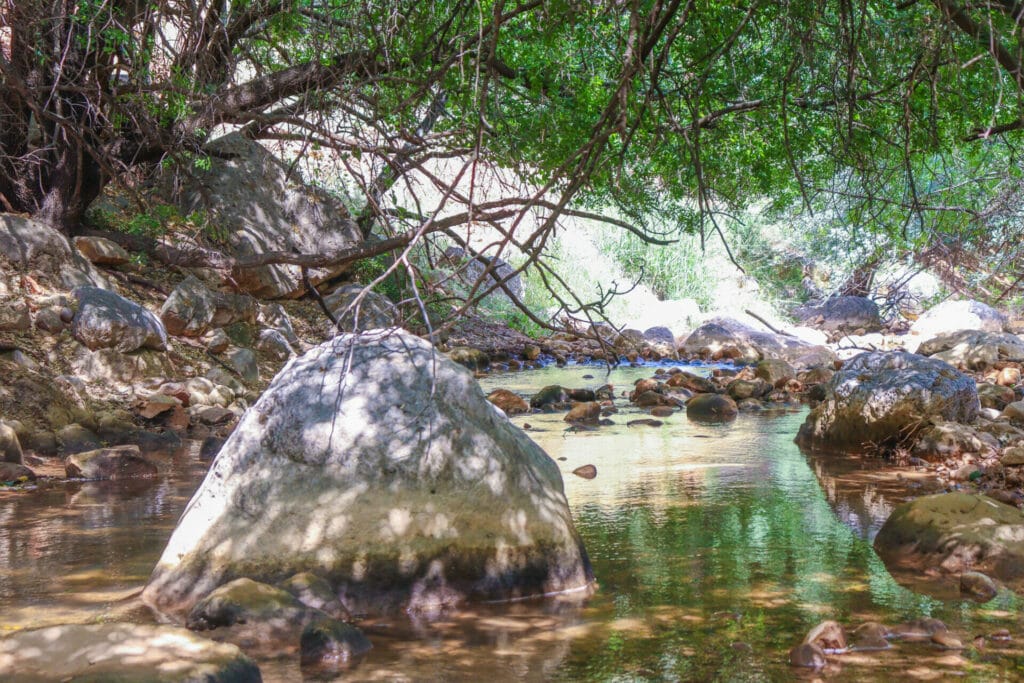 Israel Trail hike at Nahal Dishon