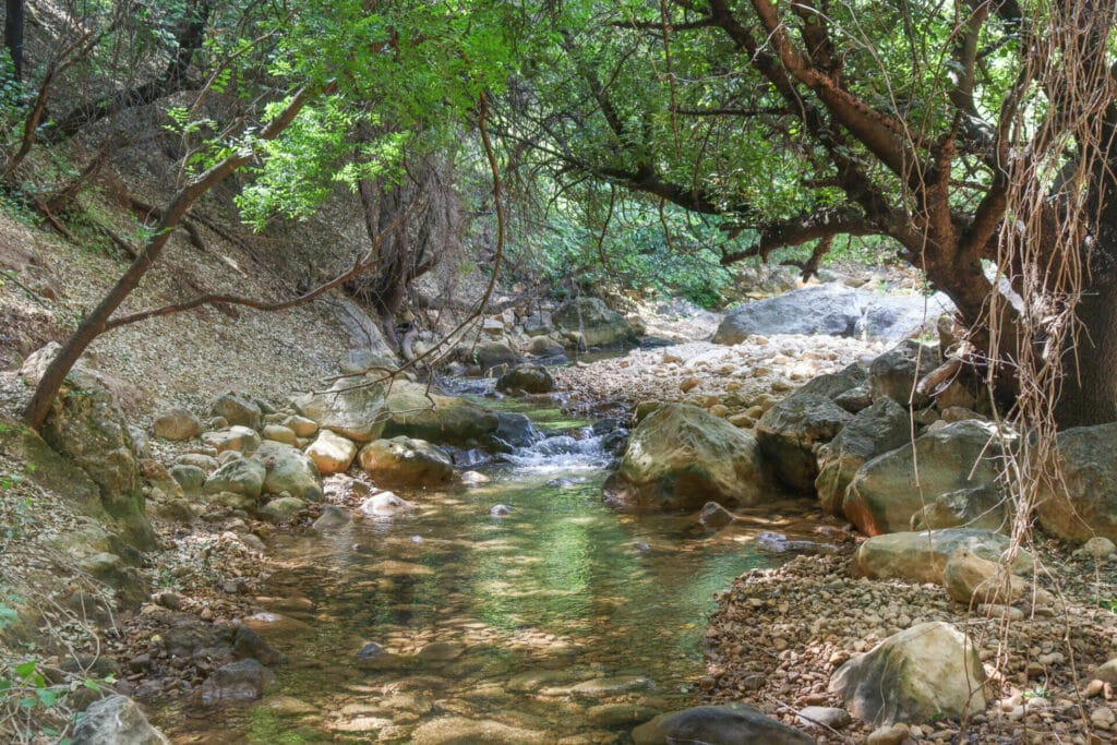 Israel Trail hike at Nahal Dishon