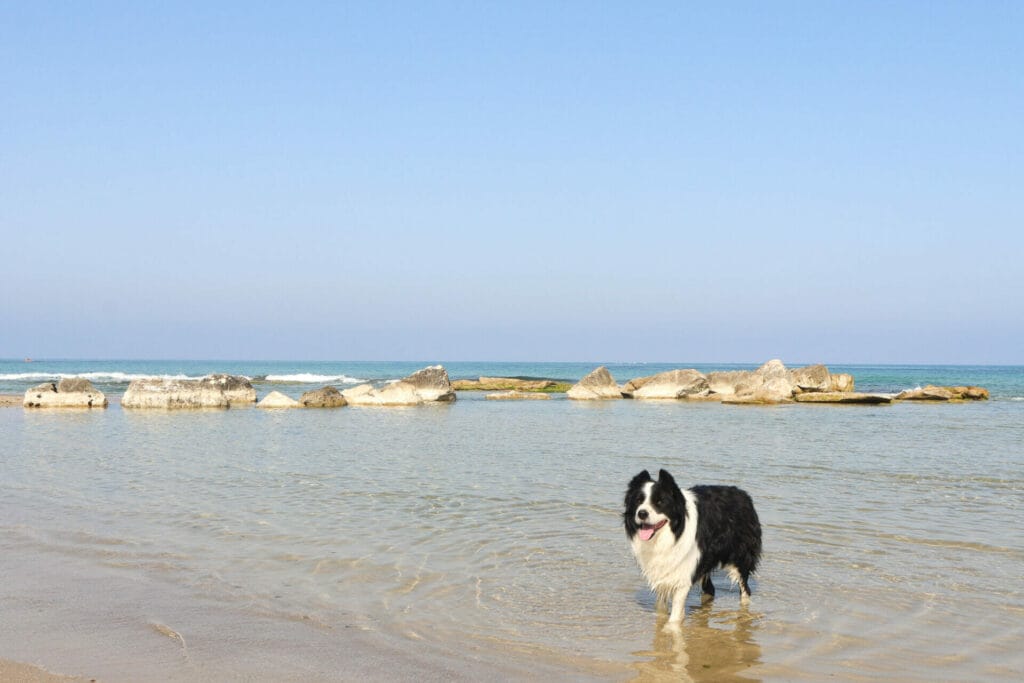 Gdor beach nature reserve hike