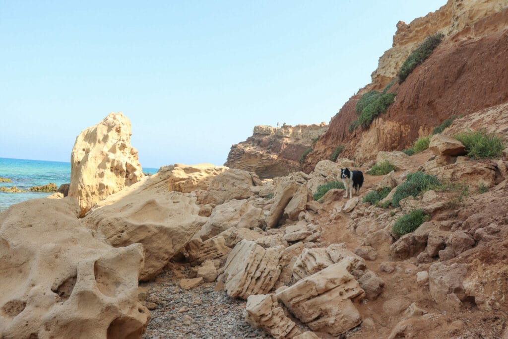 Gdor beach nature reserve hike