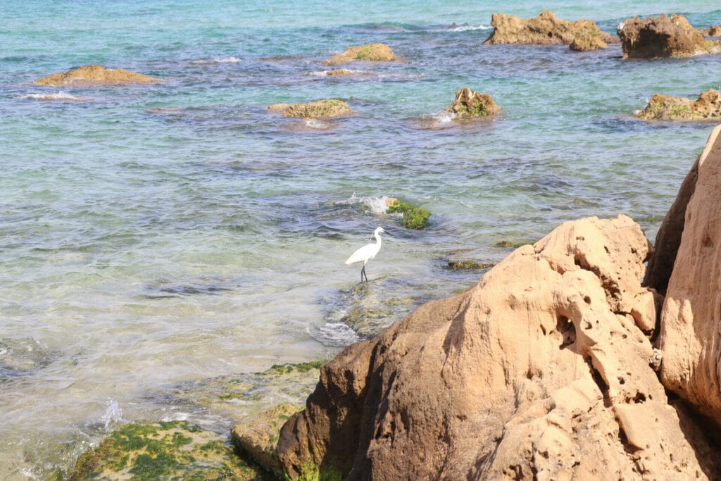 Gdor beach nature reserve hike