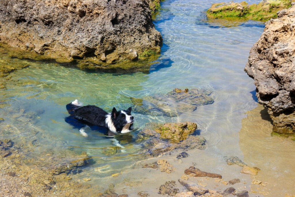 Gdor beach nature reserve hike