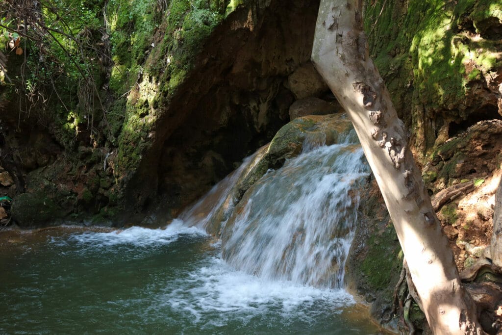 Golan hikes
Galilee hikes