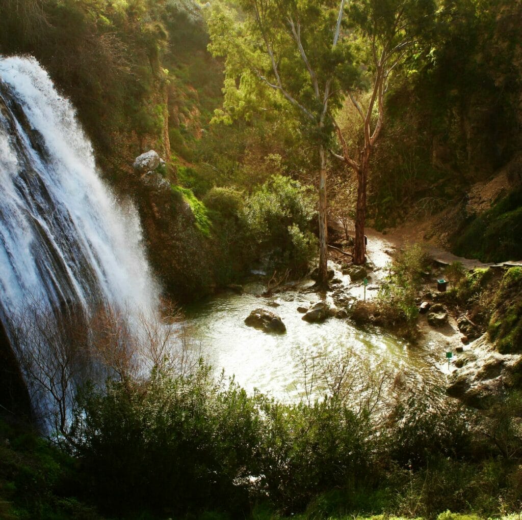 Golan hikes
Galilee hikes