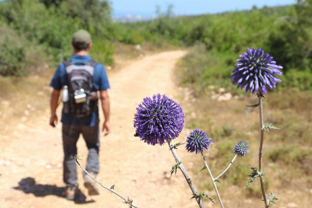 Nahal Hik Carmel Hike Ein Alon