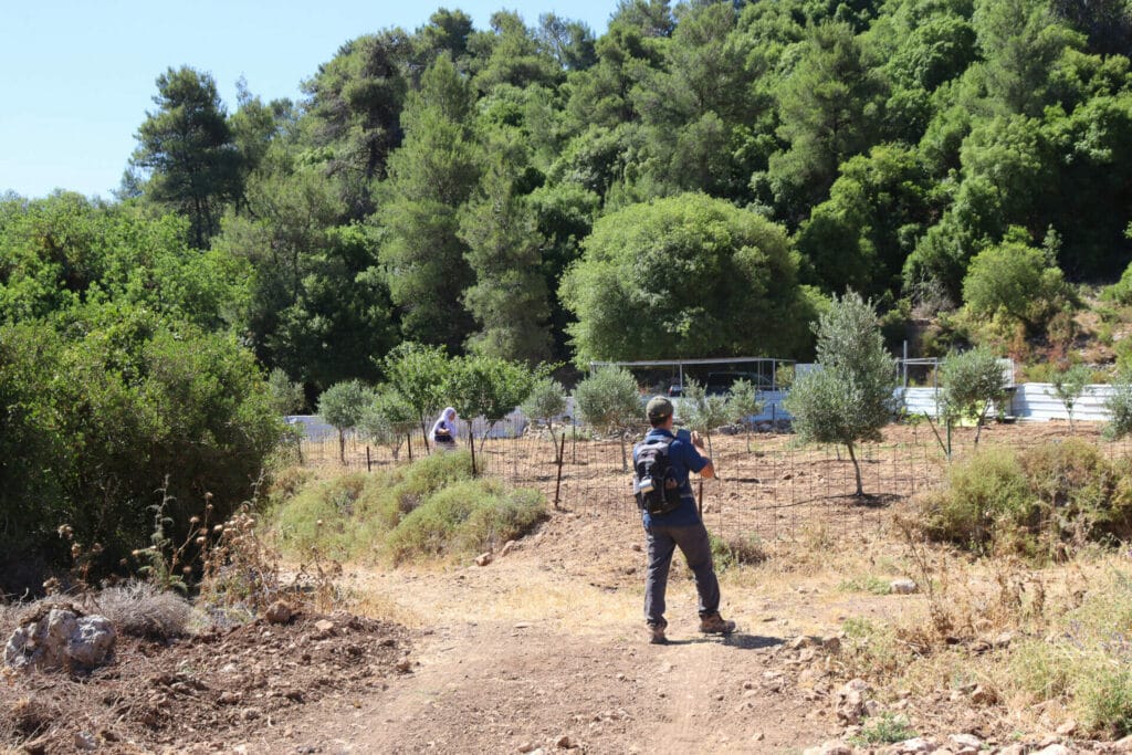 Nahal Hik Carmel Hike Ein Alon