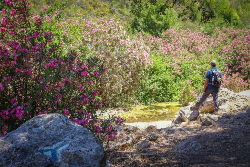 Nahal Hik Carmel Hike Ein Alon