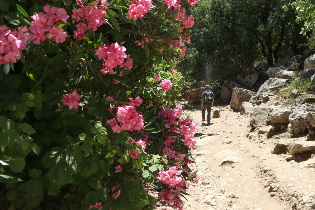 Nahal Hik Carmel Hike Ein Alon