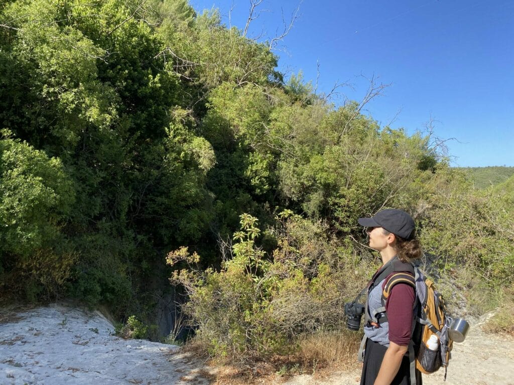 Nahal Hik Carmel Hike Ein Alon