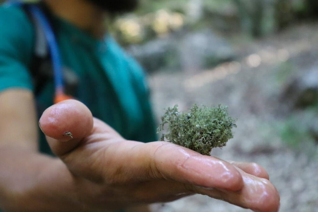 Nahal Dishon Israel Trail hike