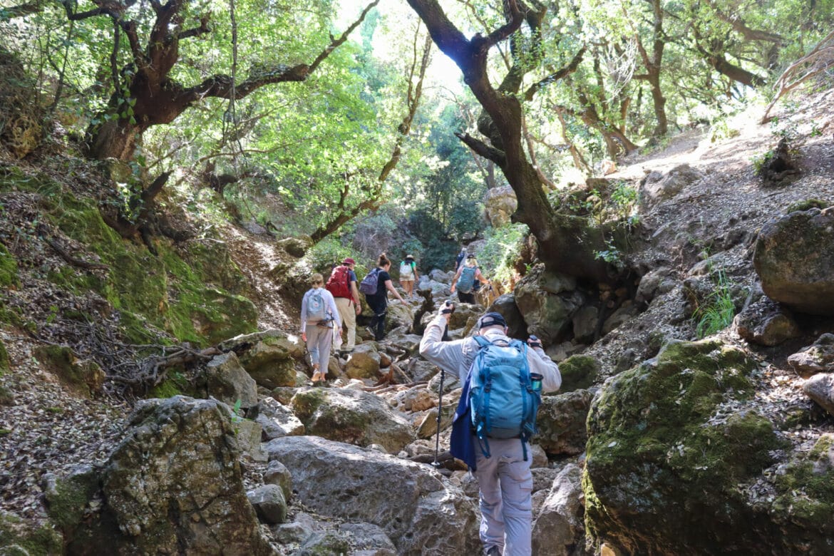 Israel Trail #4: A Beautiful Adventure at Nahal Dishon
