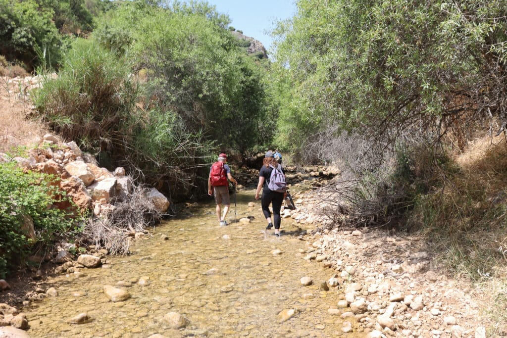 Nahal Dishon Israel Trail hike