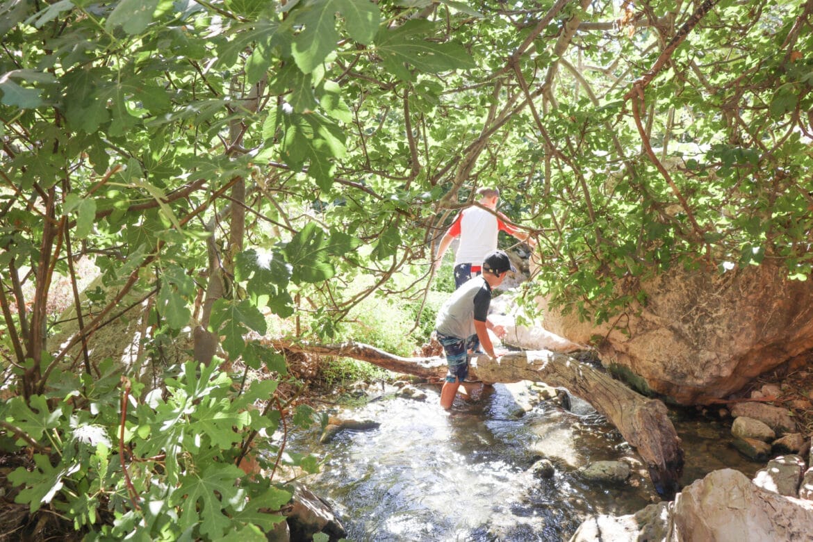 7 Water Hikes for Kids Near Jerusalem & Tel Aviv