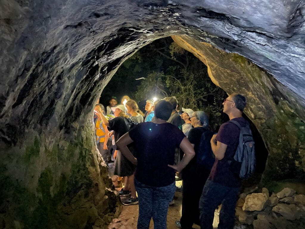 Israel night hike animals