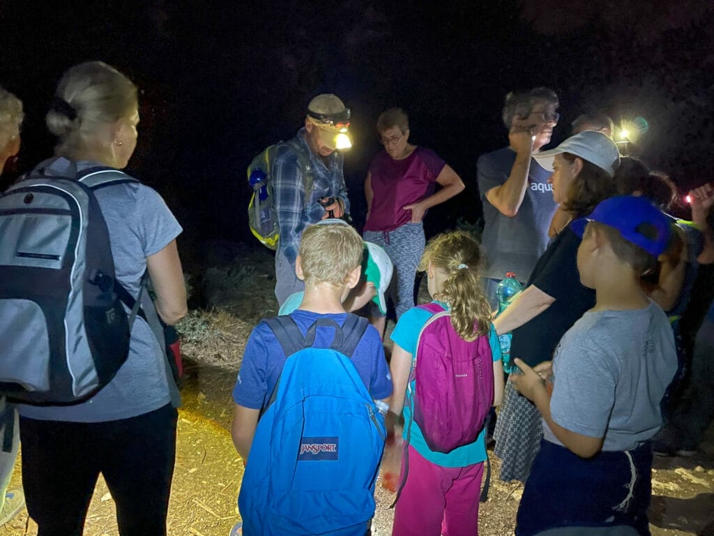 Israel night hike animals