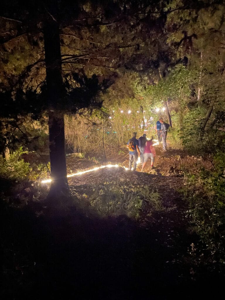 Israel night hike animals