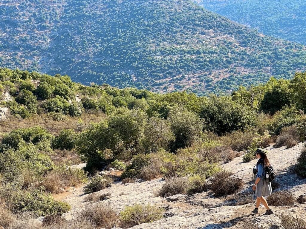 Nahal Sorek Reserve hike