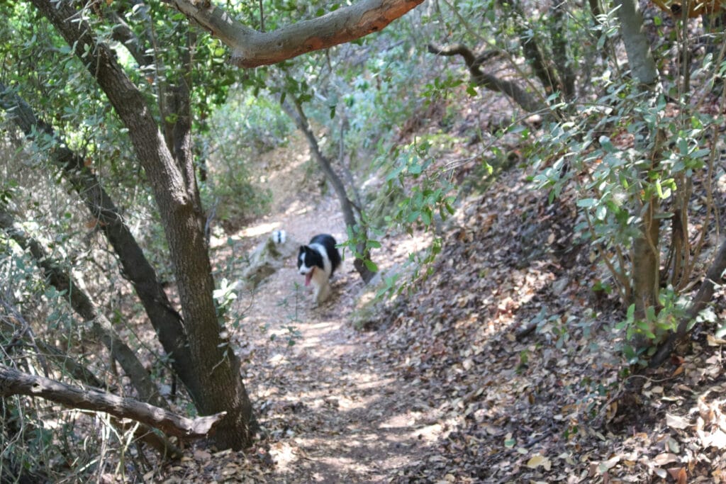 Nahal Sorek Reserve hike