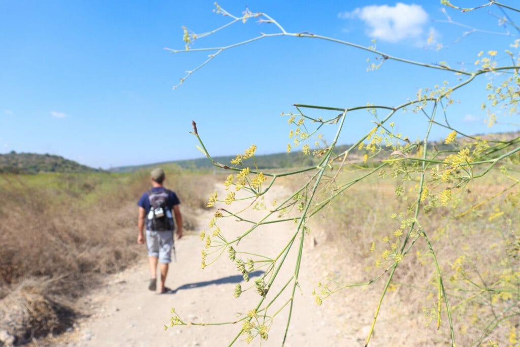 Nahal Teninim hike Mei Kedem