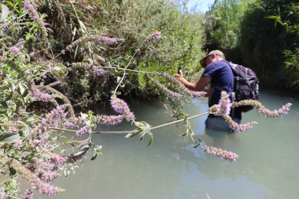 Nahal Teninim Streamside Hike