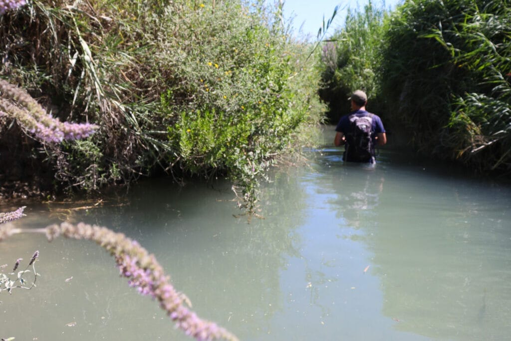 Nahal Teninim hike Mei Kedem