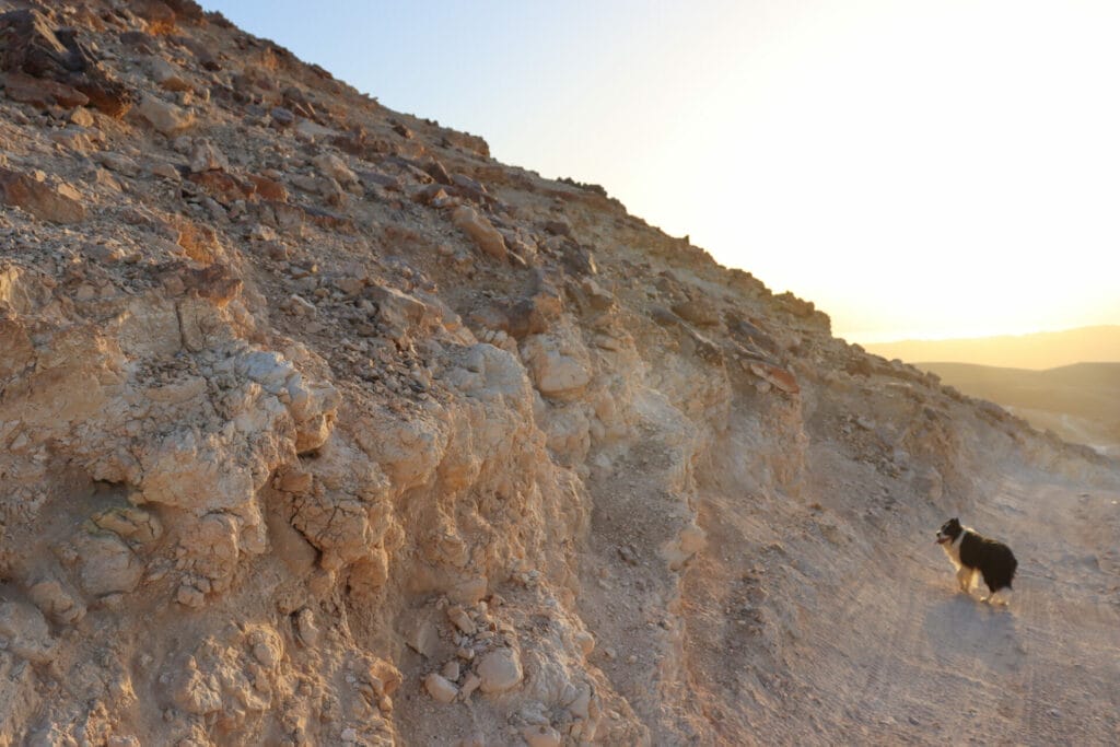 Mount Montar and Mar Saba hike