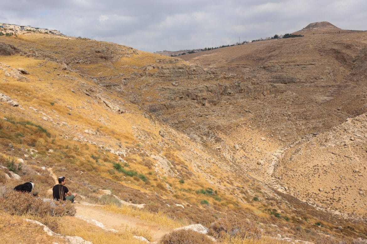 Herodion to Nahal Tekoa