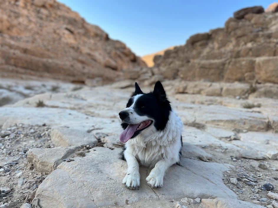 Nahal Kanfan Israel Trail hike