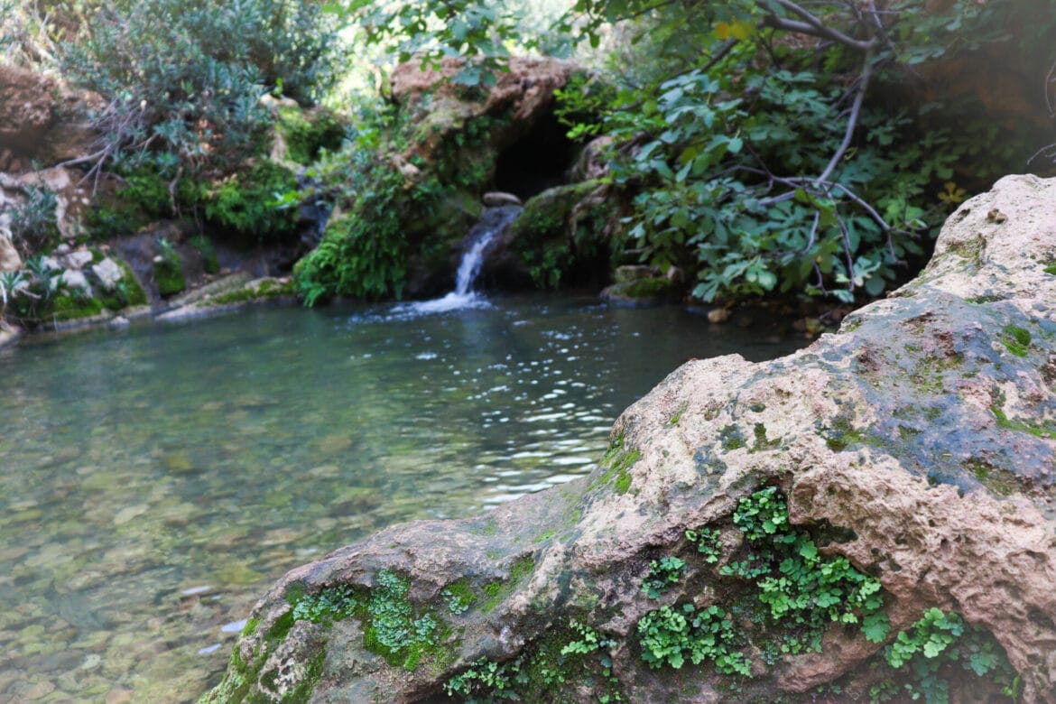 Nahal Betzet and Nahal Serach