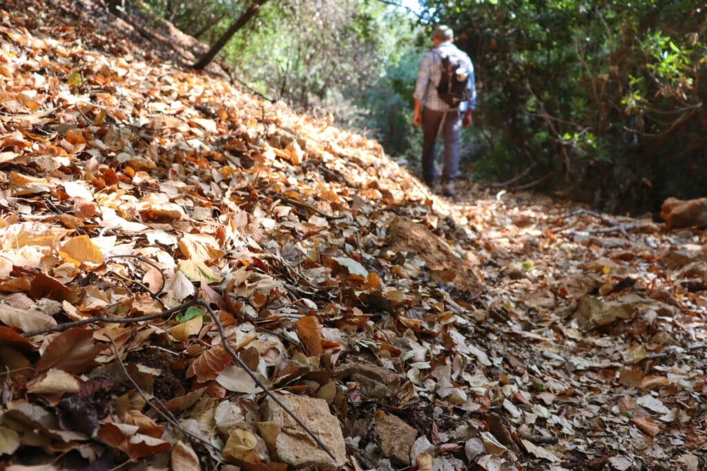 Nahal Serach Nahal Betzet Hike