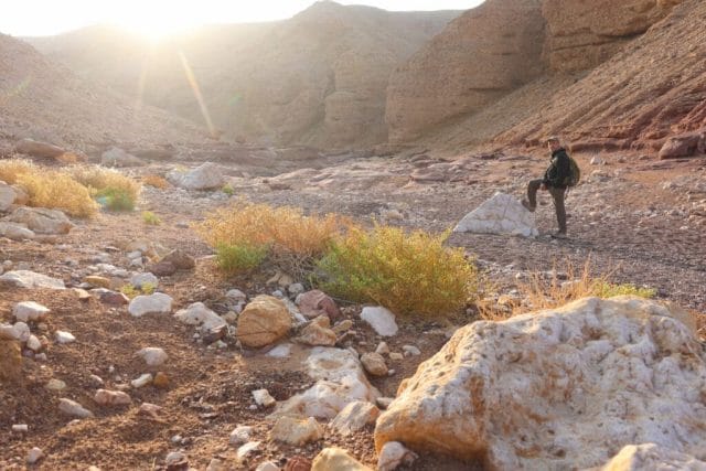 Red Canyon hike Eilat