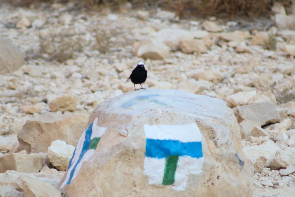 Nahal Barak hike