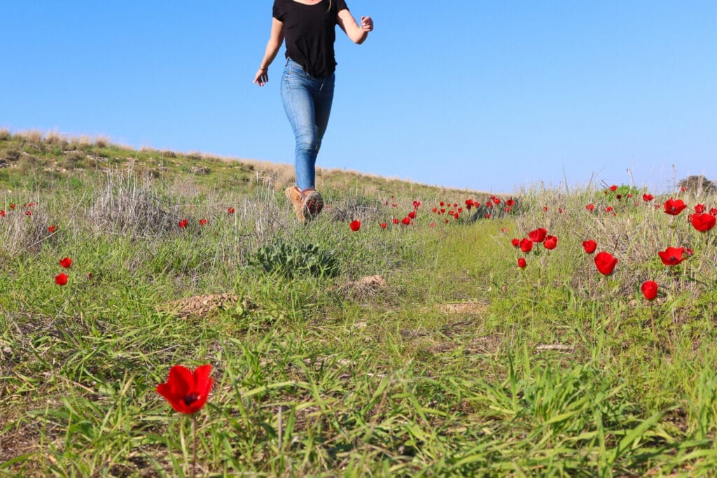 Flowers in Israel