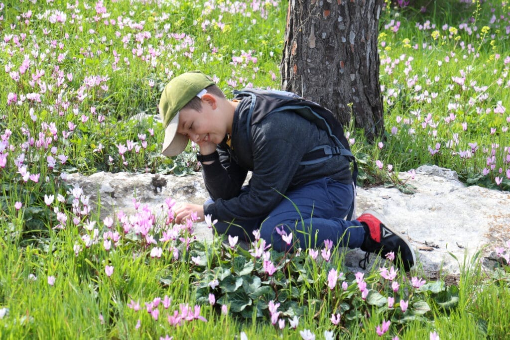 Flowers in Israel